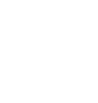 LOGO DCDP Services (blanc)